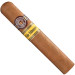 Charuto Montecristo wide edmundo manaus amazonas