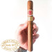 Charuto Romeo y Julieta Churchills manaus amazonas